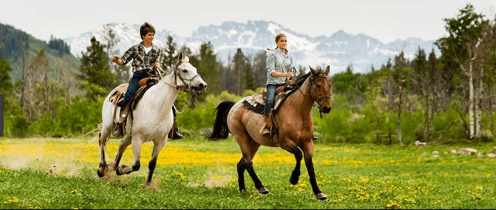 Confident plus-size woman riding Harwich a horse through a field with a smile on her face.